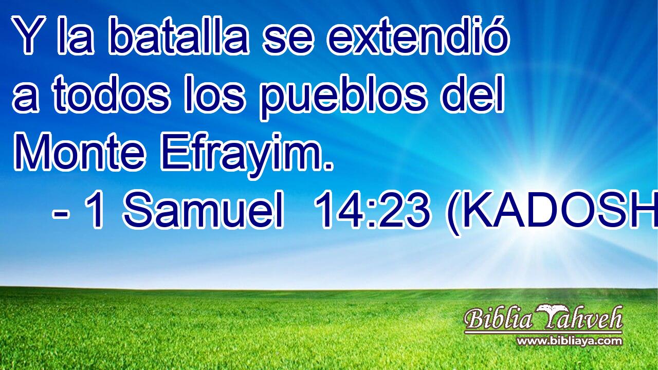  Y la batalla se extendió a todos los pueblos del Monte Efrayim. 