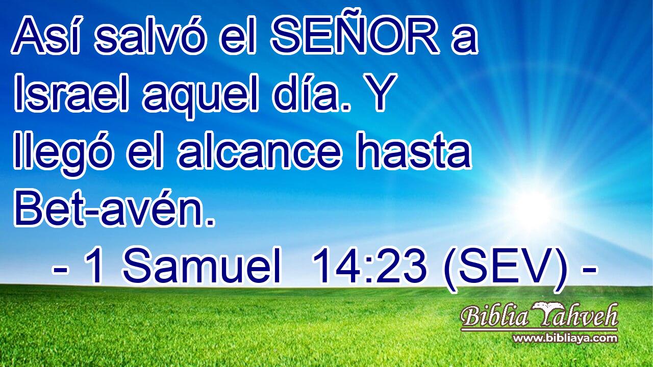 Así salvó el SEÑOR a Israel aquel día. Y llegó el alcance hasta Bet-avén.