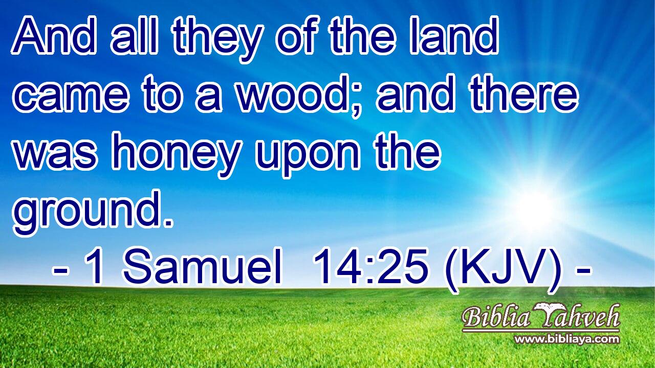 And all they of the land came to a wood; and there was honey upon the ground.