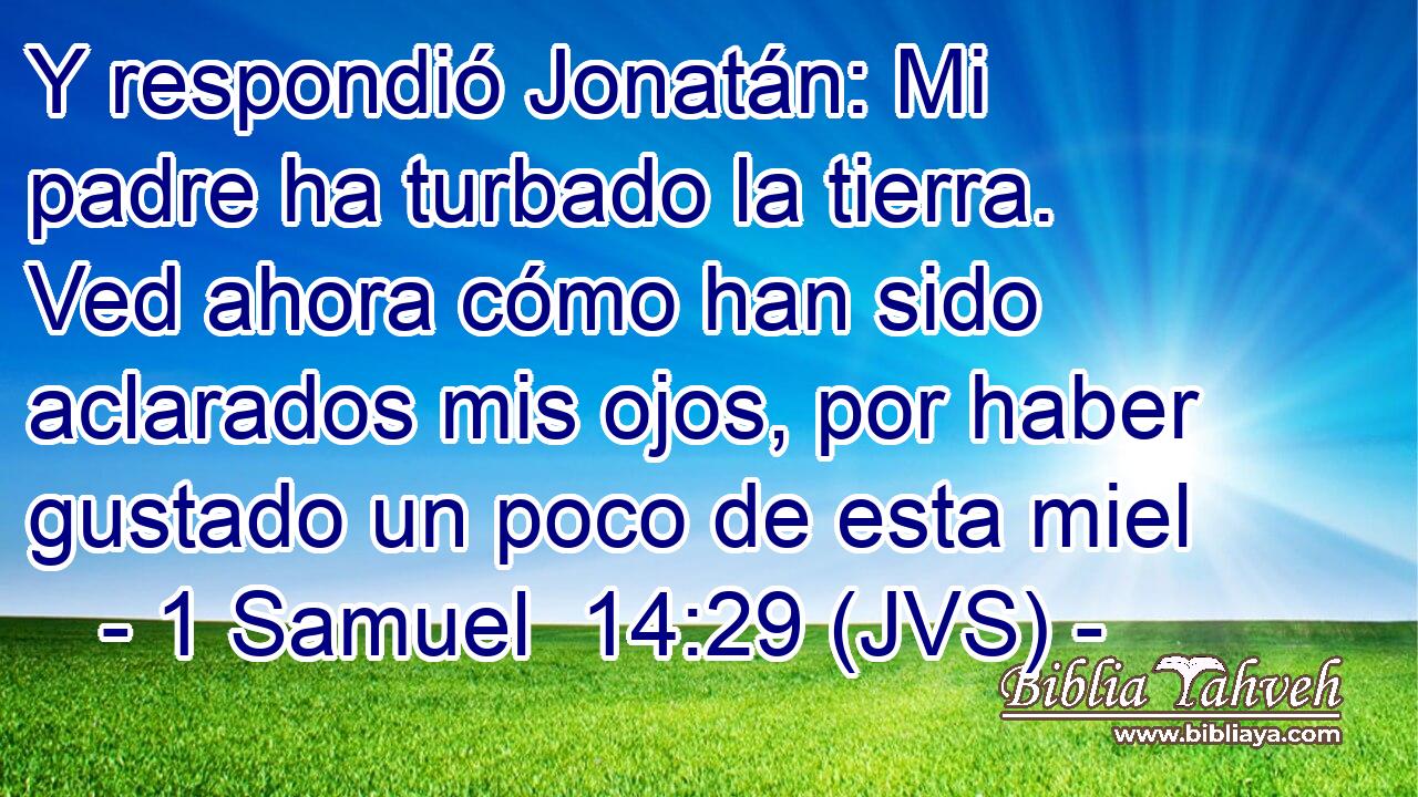 Y respondió Jonatán: Mi padre ha turbado la tierra. Ved ahora cómo han sido aclarados mis ojos, por haber gustado un poco de esta miel