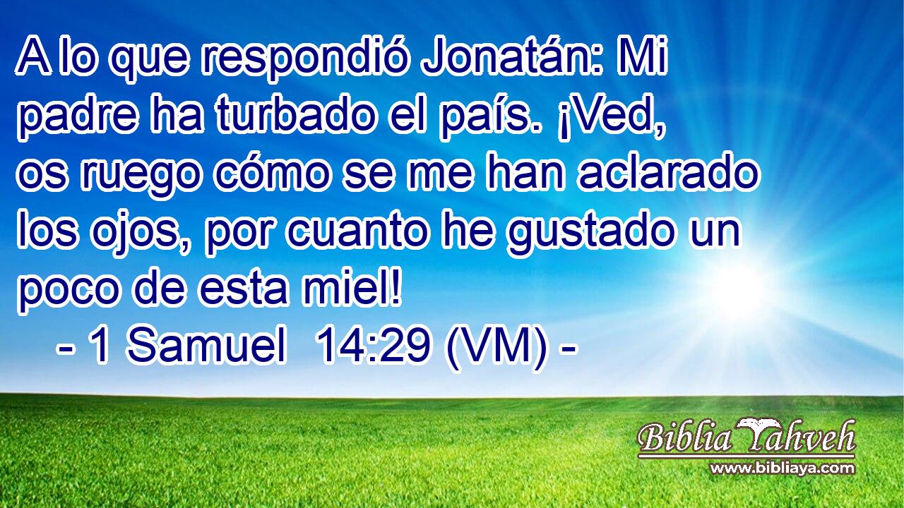  A lo que respondió Jonatán: Mi padre ha turbado el país. ¡Ved, os ruego cómo se me han aclarado los ojos, por cuanto he gustado un poco de esta miel! 