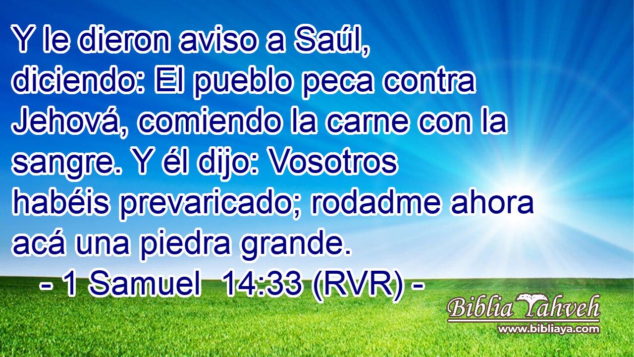 Y le dieron aviso a Saúl, diciendo: El pueblo peca contra Jehová, comiendo la carne con la sangre. Y él dijo: Vosotros habéis prevaricado; rodadme ahora acá una piedra grande.