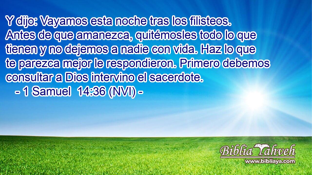  Y dijo: Vayamos esta noche tras los filisteos. Antes de que amanezca, quitémosles todo lo que tienen y no dejemos a nadie con vida. Haz lo que te parezca mejor le respondieron. Primero debemos consultar a Dios intervino el sacerdote. 