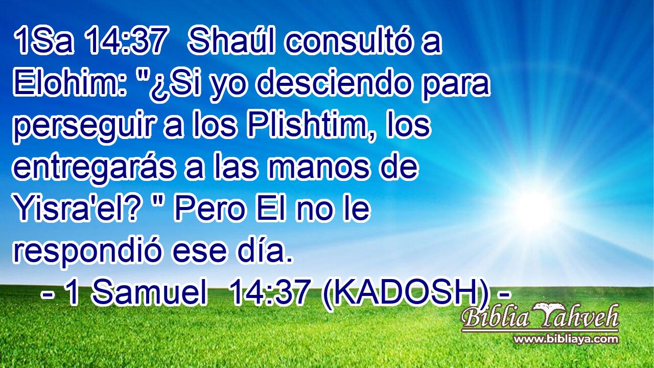  Shaúl consultó a Elohim: 