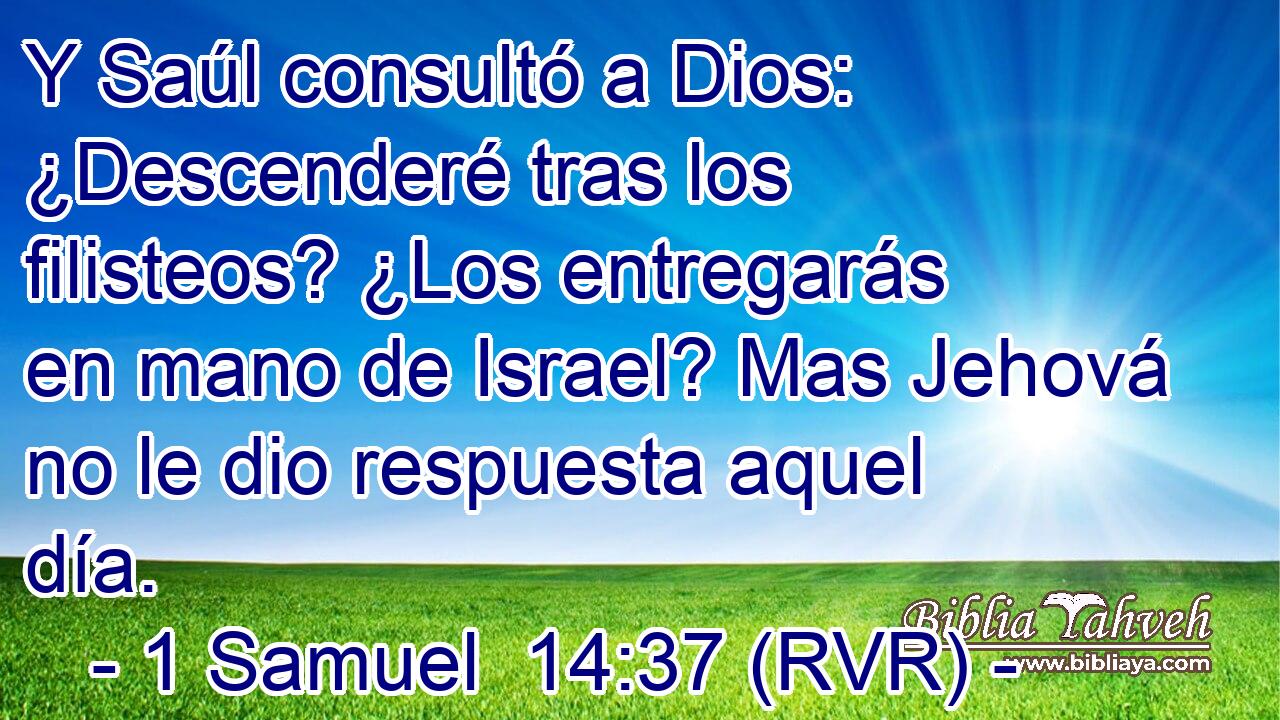 Y Saúl consultó a Dios: ¿Descenderé tras los filisteos? ¿Los entregarás en mano de Israel? Mas Jehová no le dio respuesta aquel día.