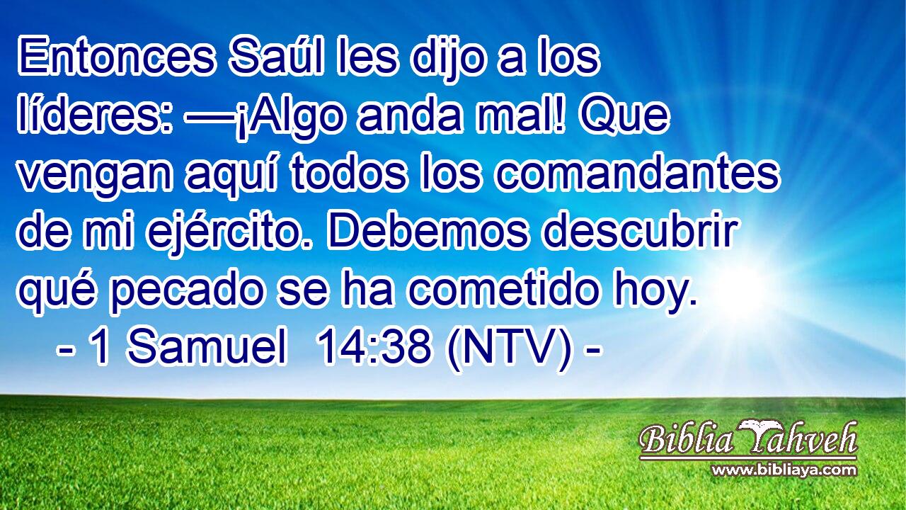 Entonces Saúl les dijo a los líderes: —¡Algo anda mal! Que vengan aquí todos los comandantes de mi ejército. Debemos descubrir qué pecado se ha cometido hoy.
