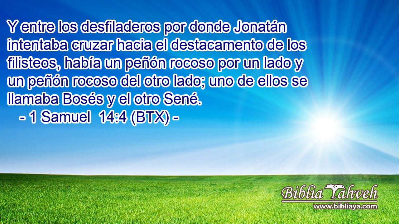 Y entre los desfiladeros por donde Jonatán intentaba cruzar hacia el destacamento de los filisteos, había un peñón rocoso por un lado y un peñón rocoso del otro lado; uno de ellos se llamaba Bosés y el otro Sené.