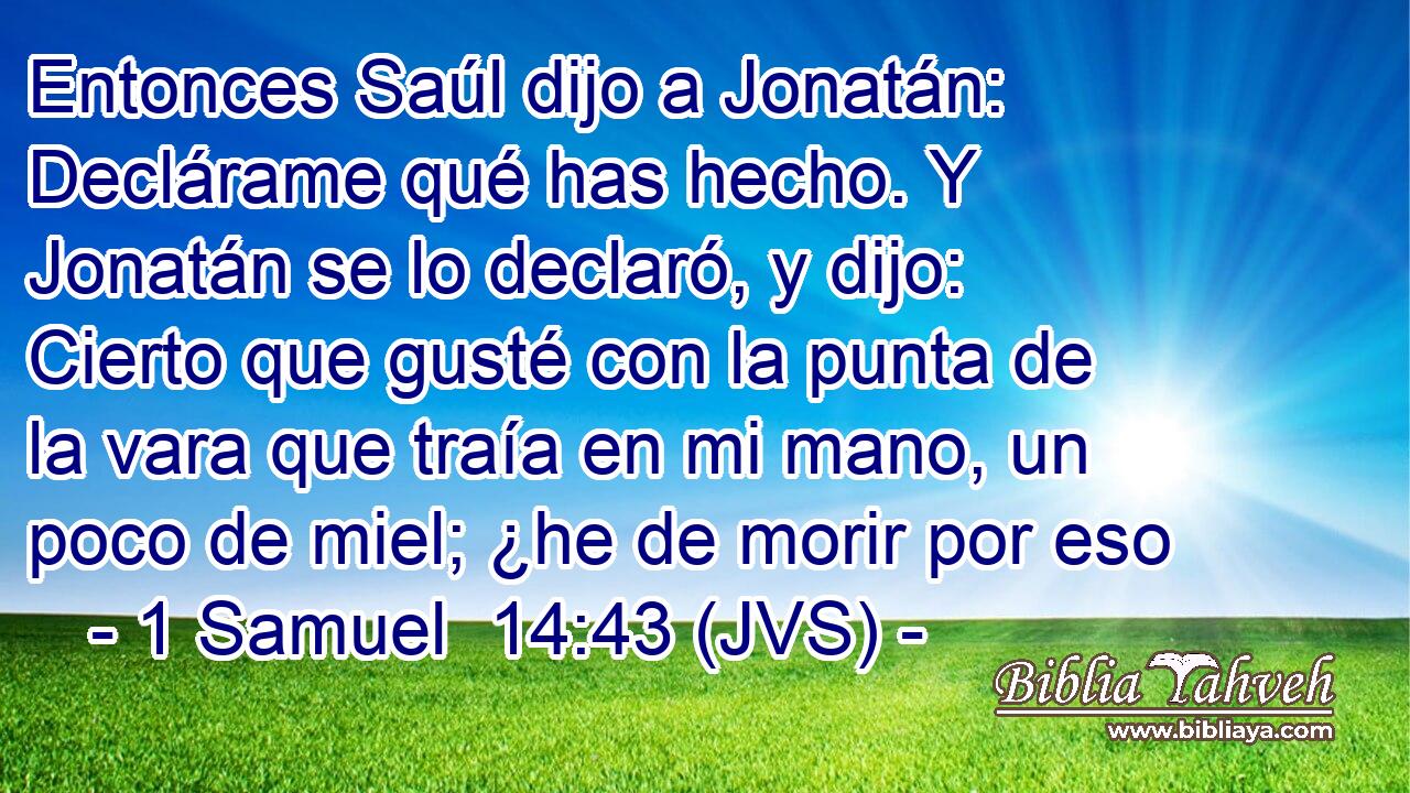 Entonces Saúl dijo a Jonatán: Declárame qué has hecho. Y Jonatán se lo declaró, y dijo: Cierto que gusté con la punta de la vara que traía en mi mano, un poco de miel; ¿he de morir por eso