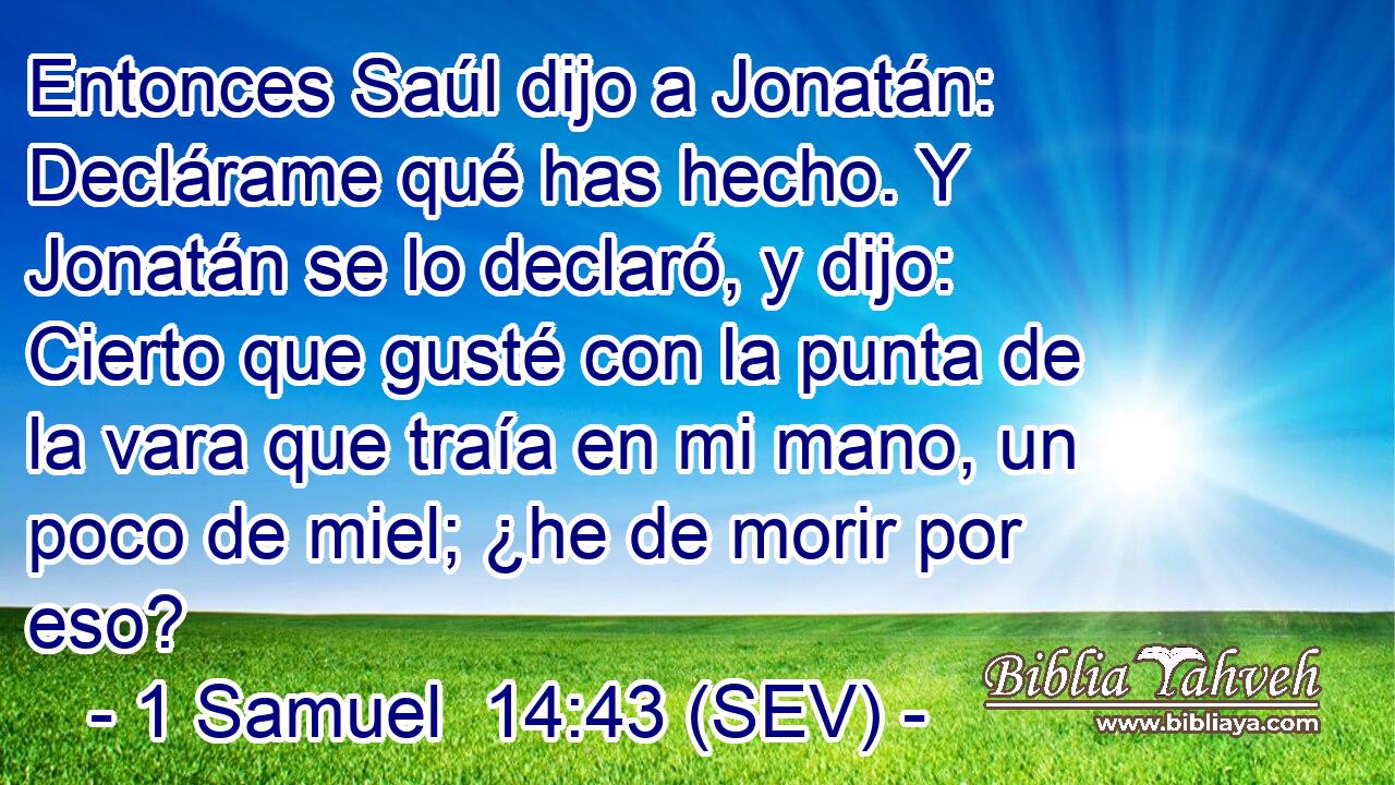 Entonces Saúl dijo a Jonatán: Declárame qué has hecho. Y Jonatán se lo declaró, y dijo: Cierto que gusté con la punta de la vara que traía en mi mano, un poco de miel; ¿he de morir por eso?