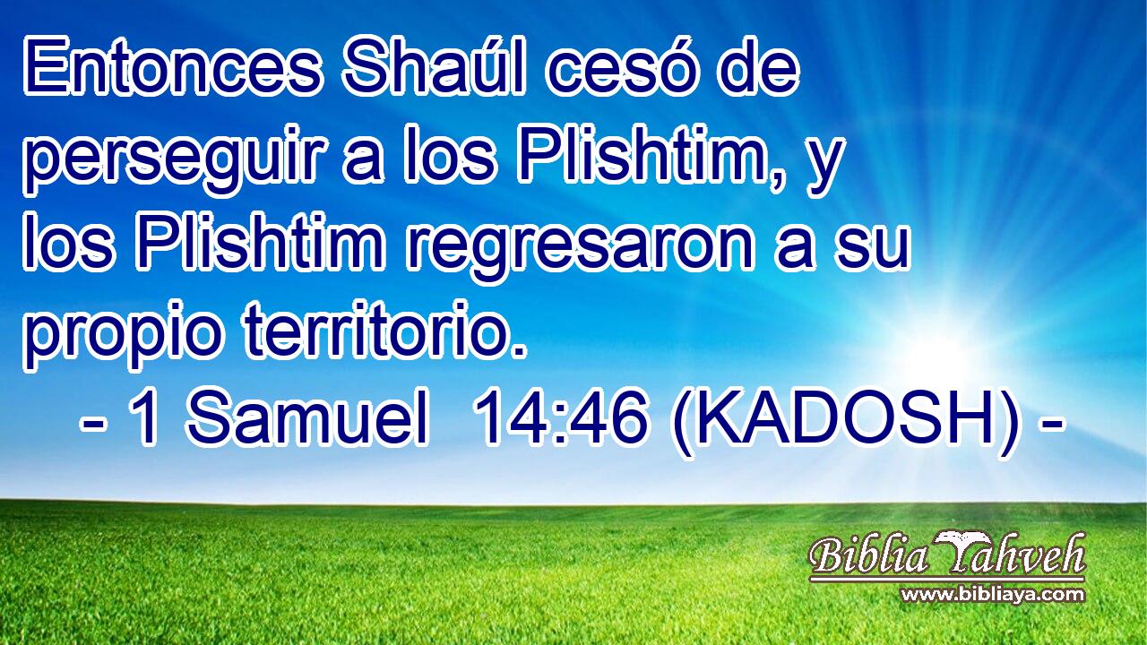  Entonces Shaúl cesó de perseguir a los Plishtim, y los Plishtim regresaron a su propio territorio. 