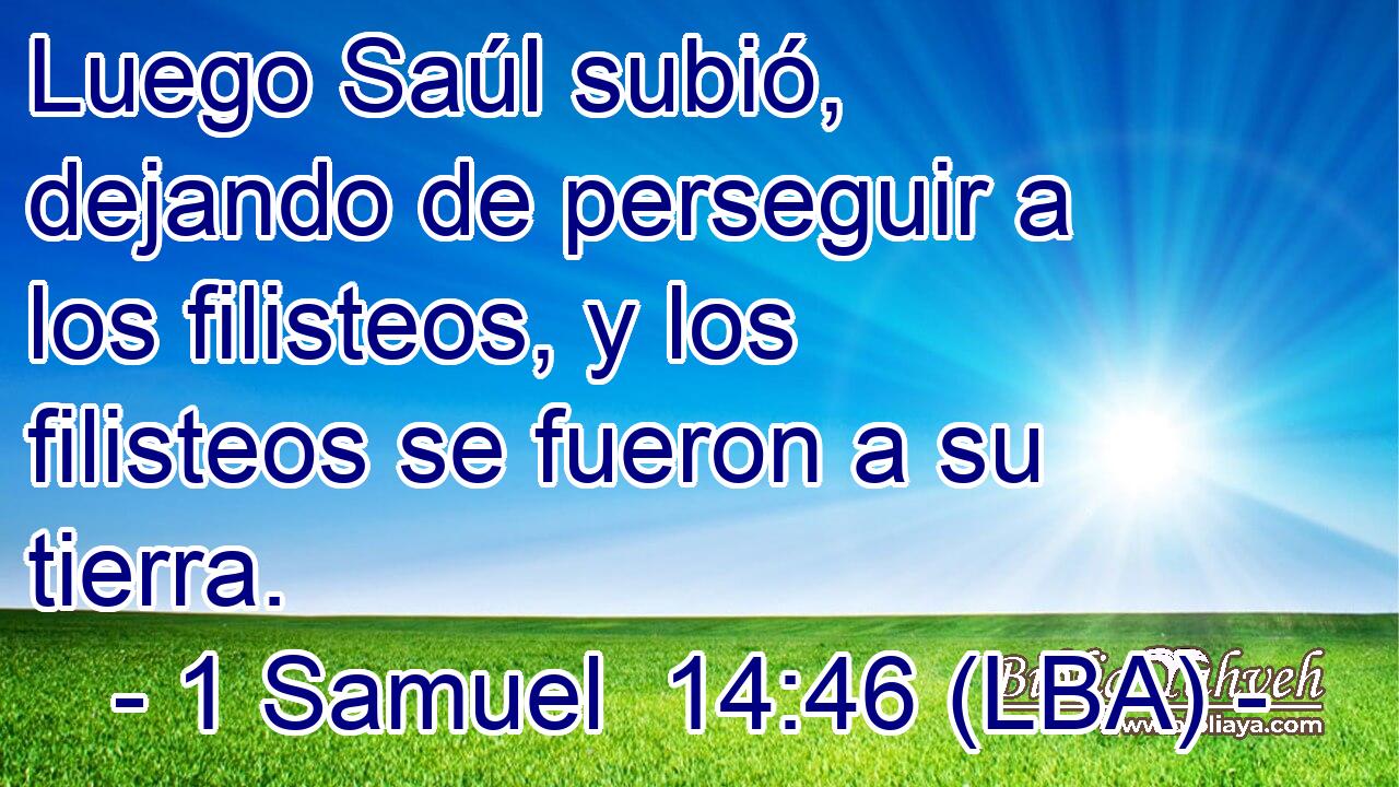 Luego Saúl subió, dejando de perseguir a los filisteos, y los filisteos se fueron a su tierra.