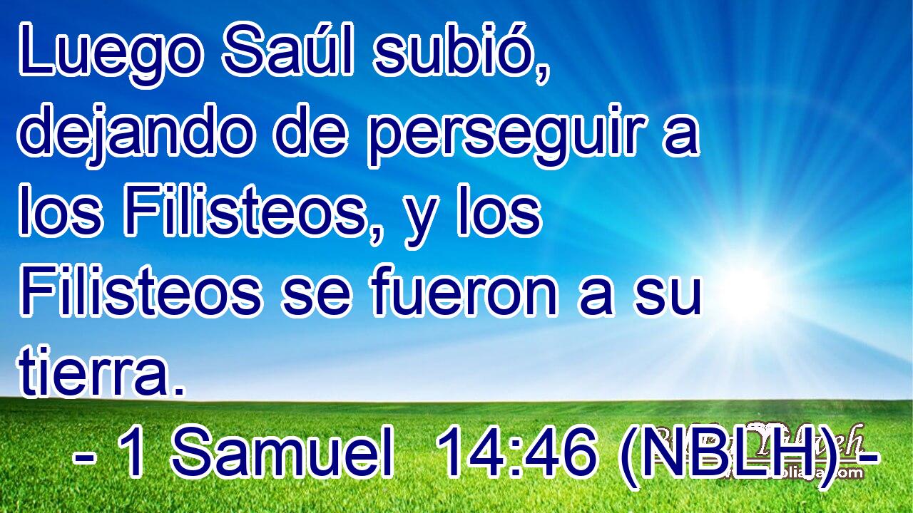  Luego Saúl subió, dejando de perseguir a los Filisteos, y los Filisteos se fueron a su tierra. 