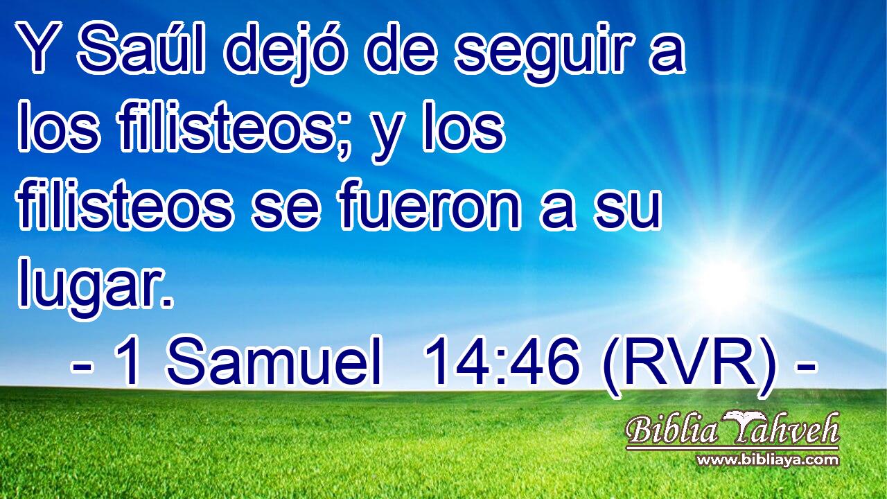 Y Saúl dejó de seguir a los filisteos; y los filisteos se fueron a su lugar.