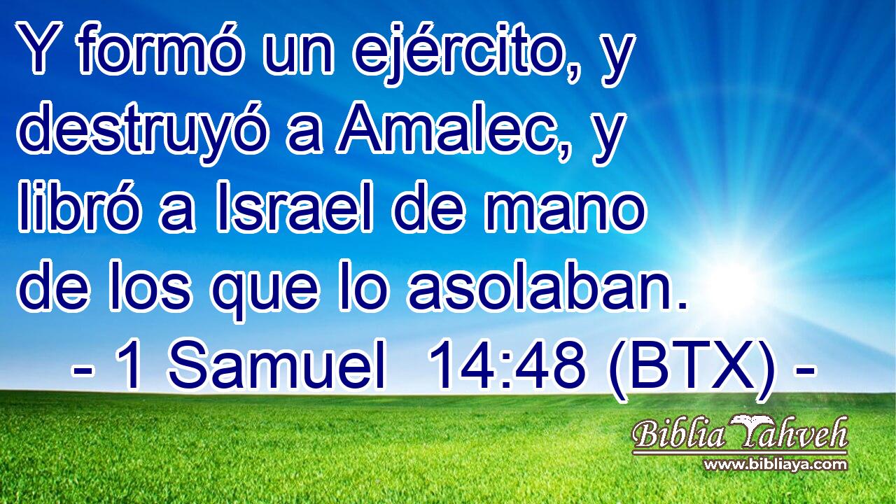 Y formó un ejército, y destruyó a Amalec, y libró a Israel de mano de los que lo asolaban.