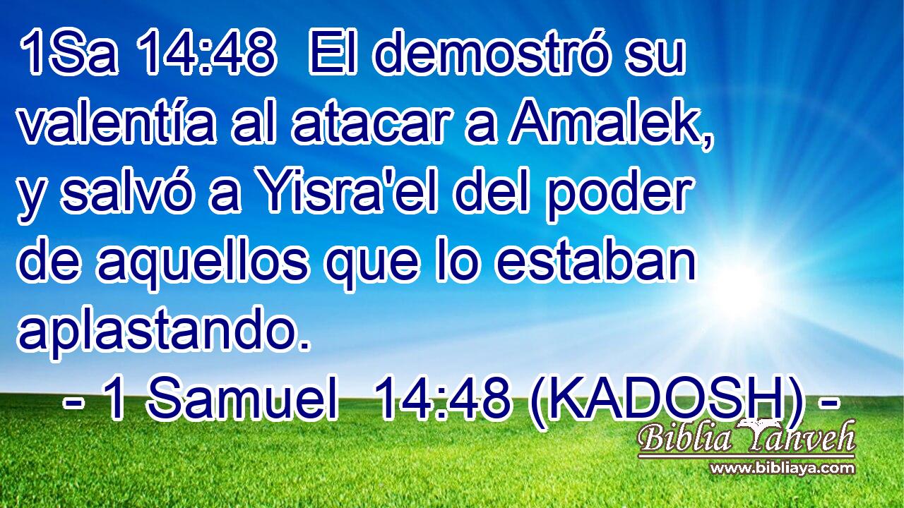  El demostró su valentía al atacar a Amalek, y salvó a Yisra'el del poder de aquellos que lo estaban aplastando. 