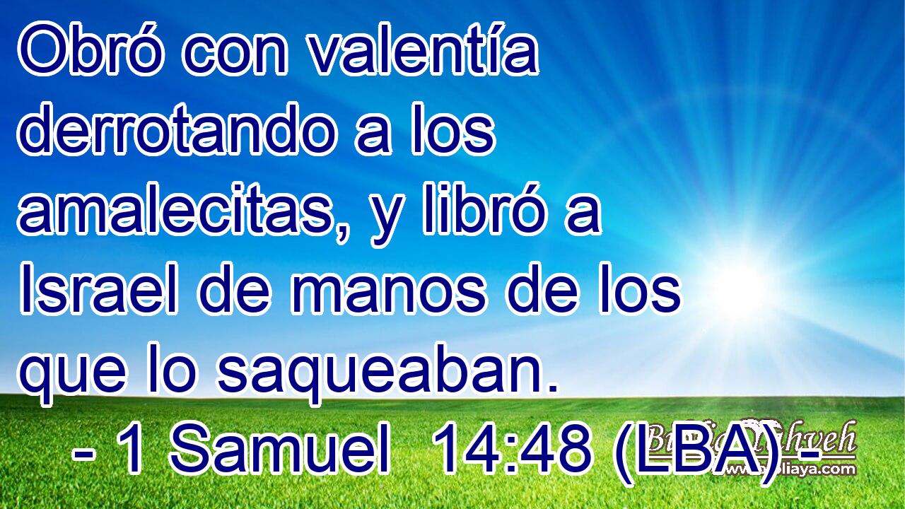 Obró con valentía derrotando a los amalecitas, y libró a Israel de manos de los que lo saqueaban.