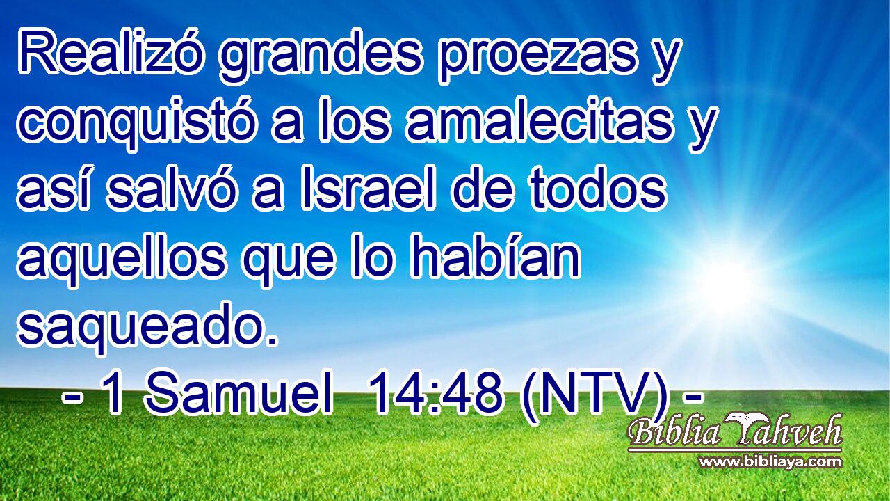 Realizó grandes proezas y conquistó a los amalecitas y así salvó a Israel de todos aquellos que lo habían saqueado.