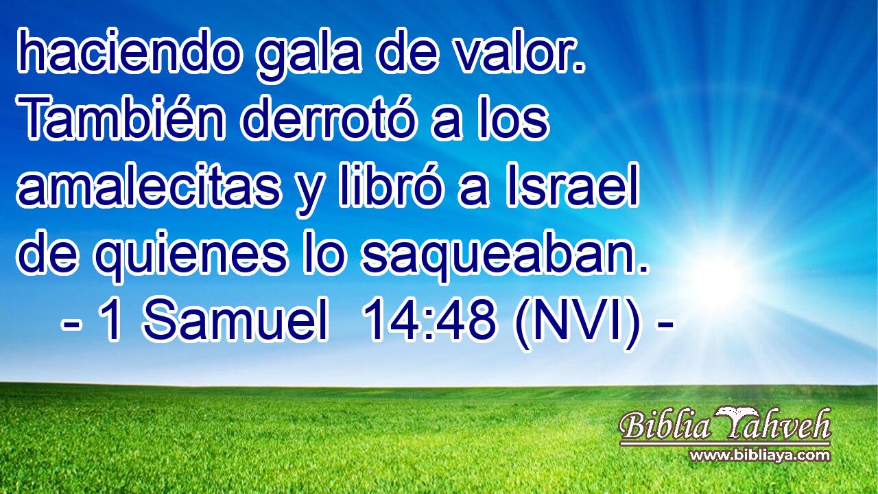  haciendo gala de valor. También derrotó a los amalecitas y libró a Israel de quienes lo saqueaban. 