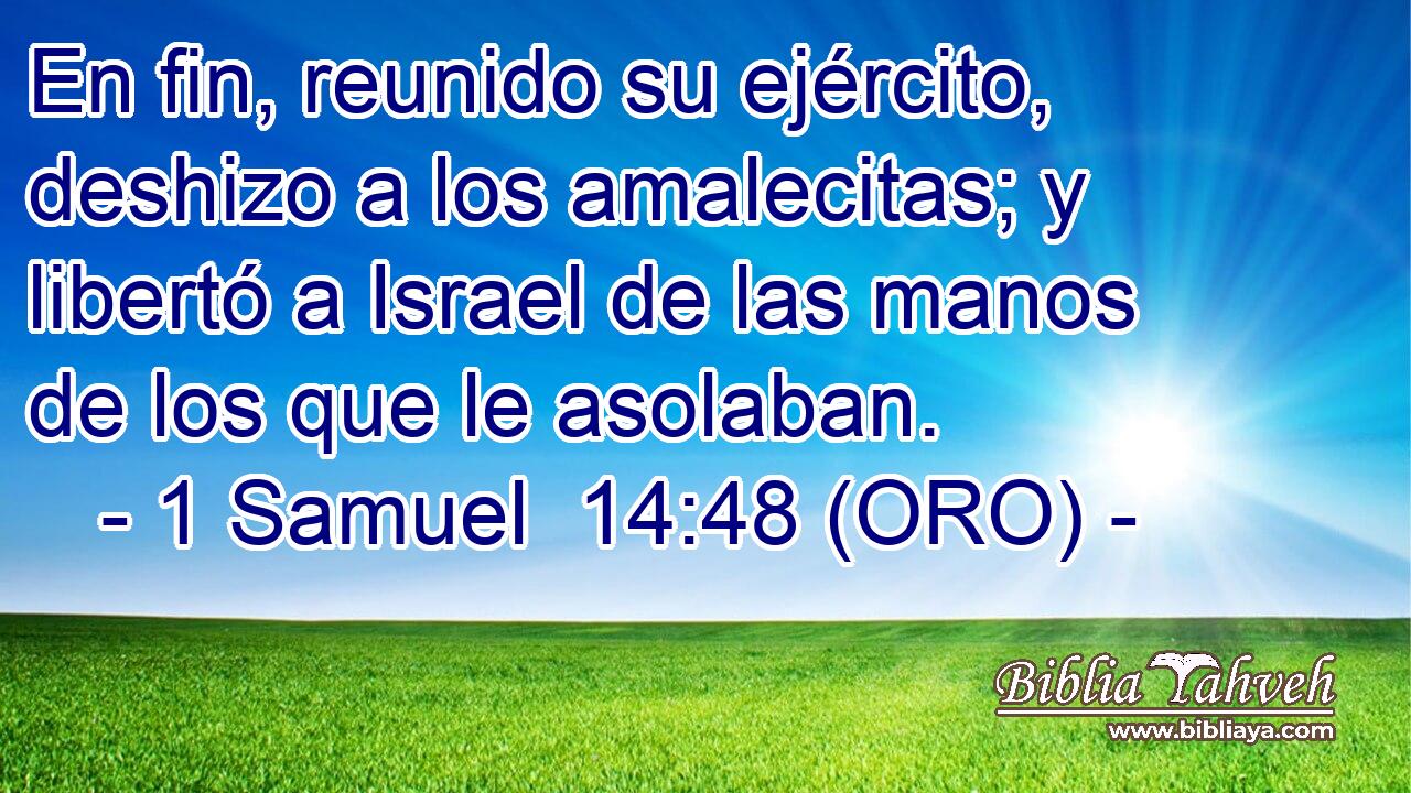  En fin, reunido su ejército, deshizo a los amalecitas; y libertó a Israel de las manos de los que le asolaban. 