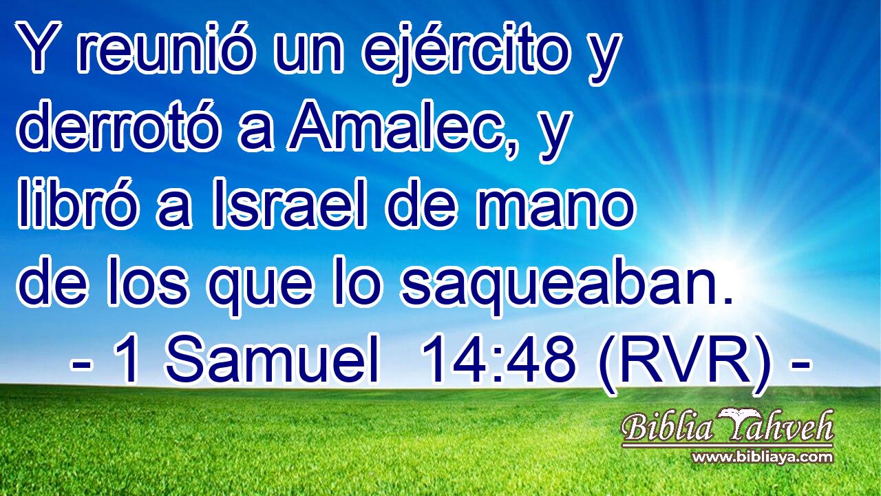 Y reunió un ejército y derrotó a Amalec, y libró a Israel de mano de los que lo saqueaban.