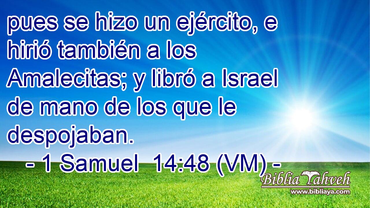 pues se hizo un ejército, e hirió también a los Amalecitas; y libró a Israel de mano de los que le despojaban. 