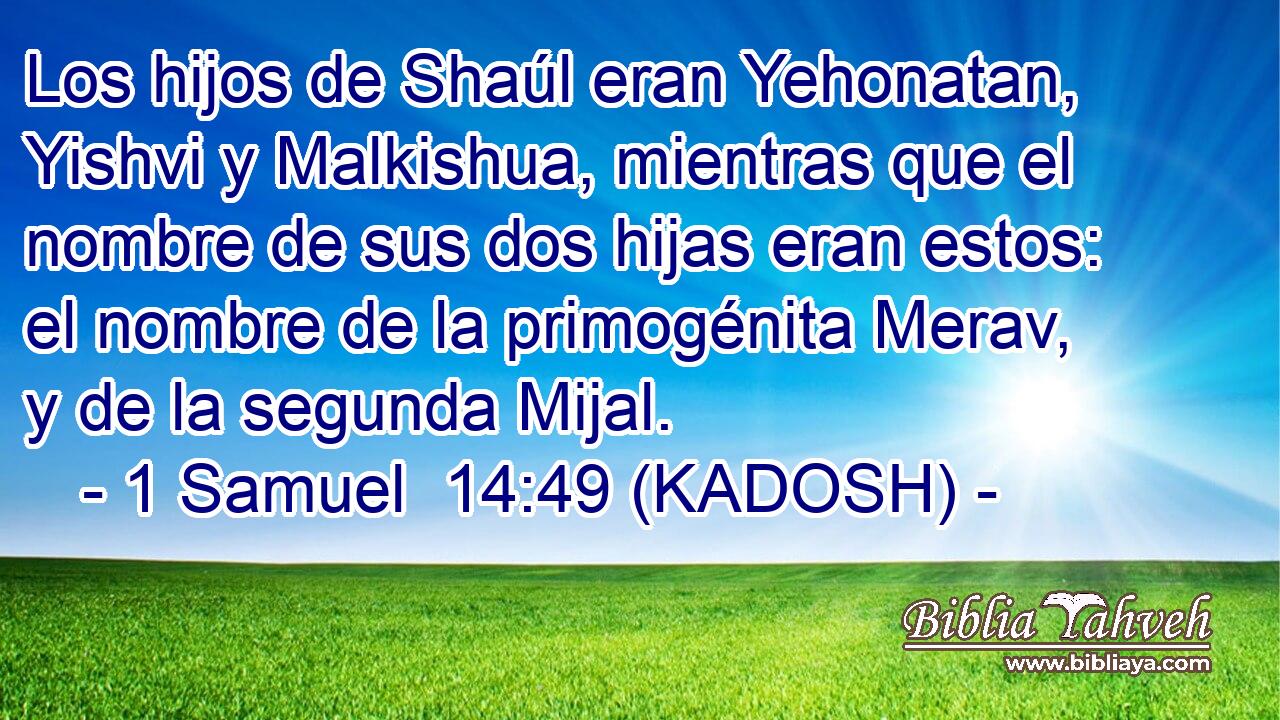  Los hijos de Shaúl eran Yehonatan, Yishvi y Malkishua, mientras que el nombre de sus dos hijas eran estos: el nombre de la primogénita Merav, y de la segunda Mijal. 