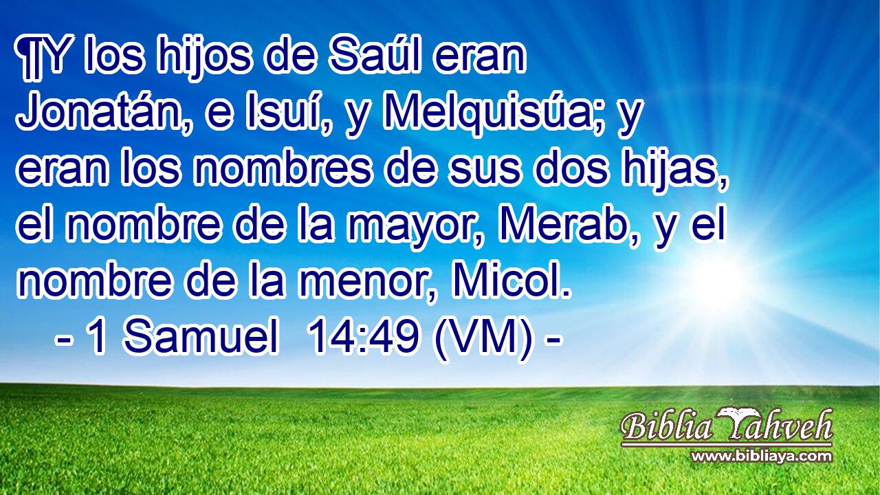  ¶Y los hijos de Saúl eran Jonatán, e Isuí, y Melquisúa; y eran los nombres de sus dos hijas, el nombre de la mayor, Merab, y el nombre de la menor, Micol. 
