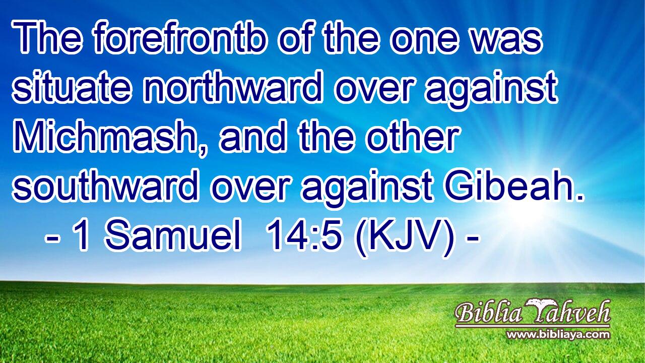 The forefrontb of the one was situate northward over against Michmash, and the other southward over against Gibeah.