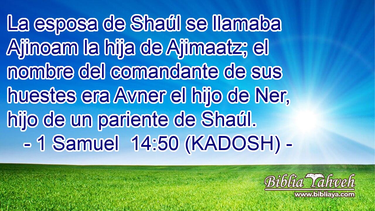  La esposa de Shaúl se llamaba Ajinoam la hija de Ajimaatz; el nombre del comandante de sus huestes era Avner el hijo de Ner, hijo de un pariente de Shaúl. 