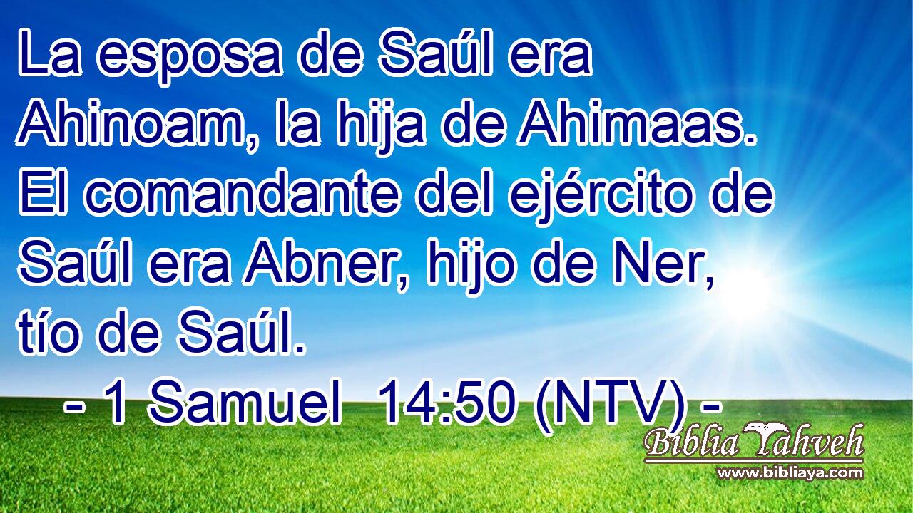 La esposa de Saúl era Ahinoam, la hija de Ahimaas. El comandante del ejército de Saúl era Abner, hijo de Ner, tío de Saúl.