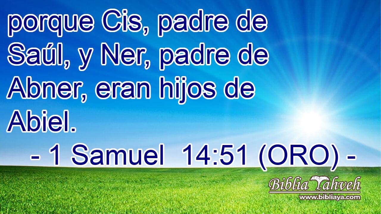  porque Cis, padre de Saúl, y Ner, padre de Abner, eran hijos de Abiel. 