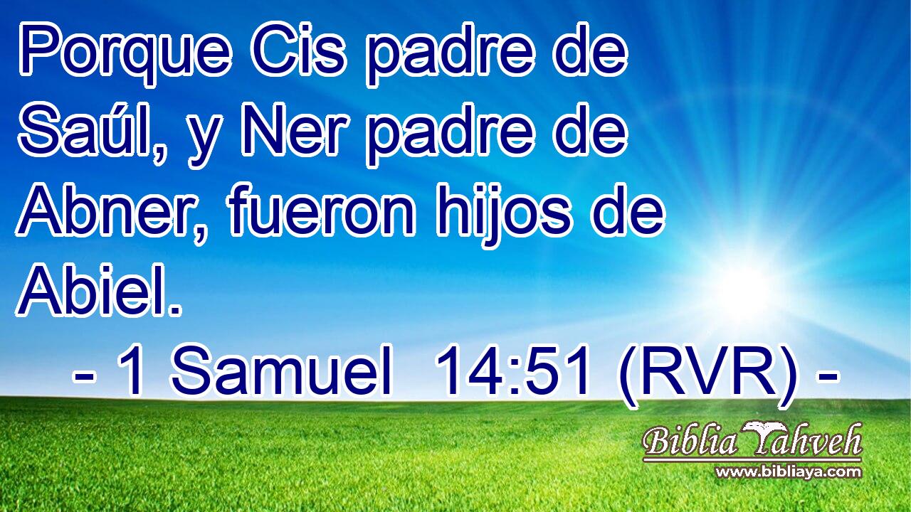 Porque Cis padre de Saúl, y Ner padre de Abner, fueron hijos de Abiel.