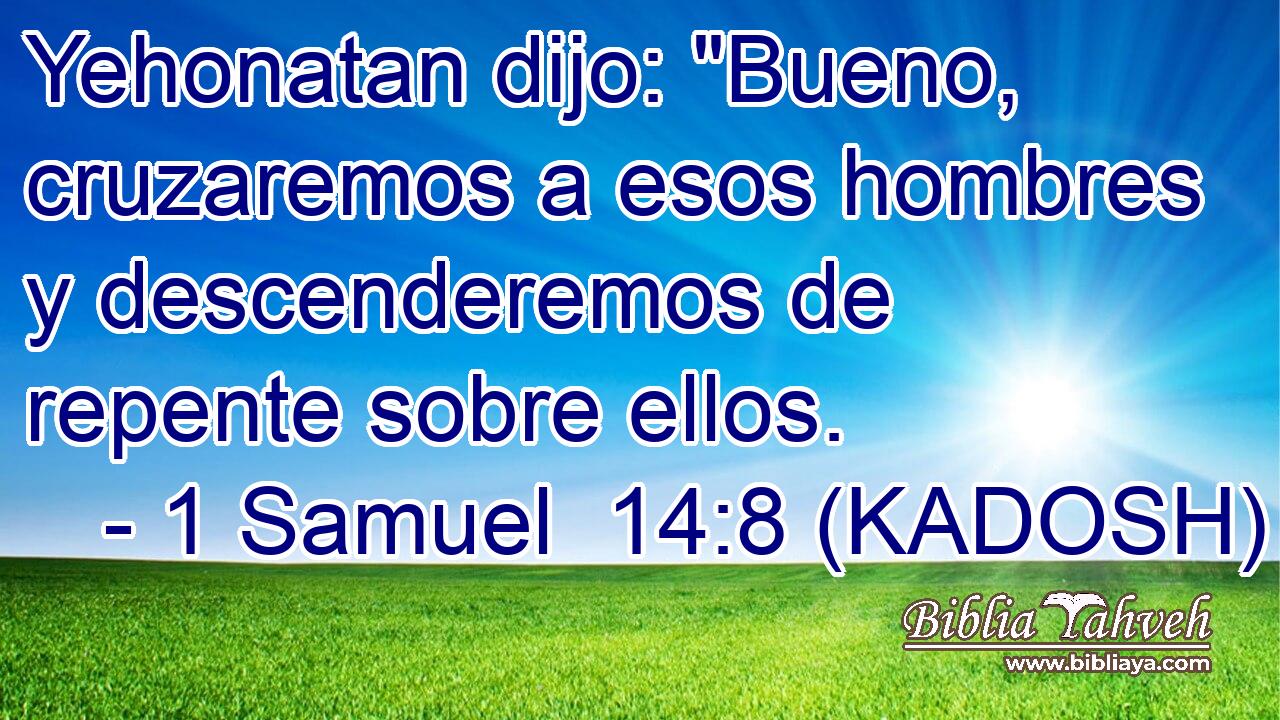 Yehonatan dijo: 