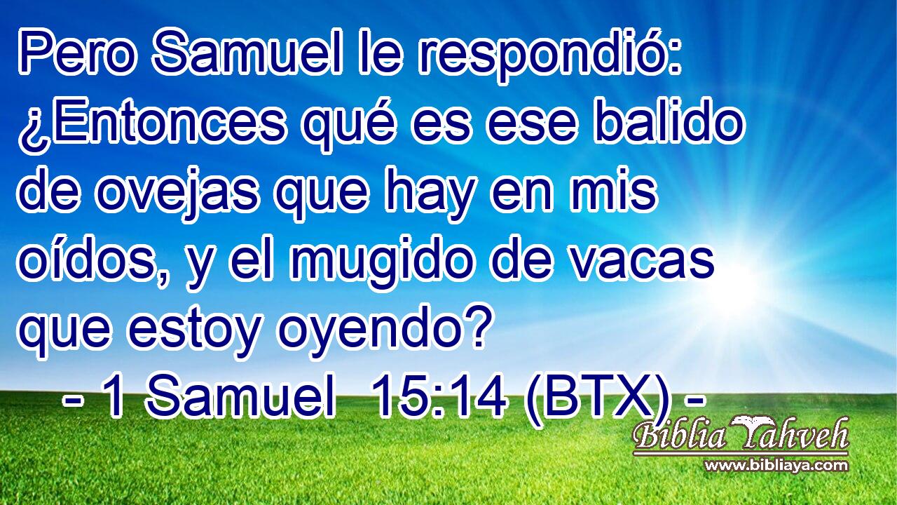 Pero Samuel le respondió: ¿Entonces qué es ese balido de ovejas que hay en mis oídos, y el mugido de vacas que estoy oyendo?