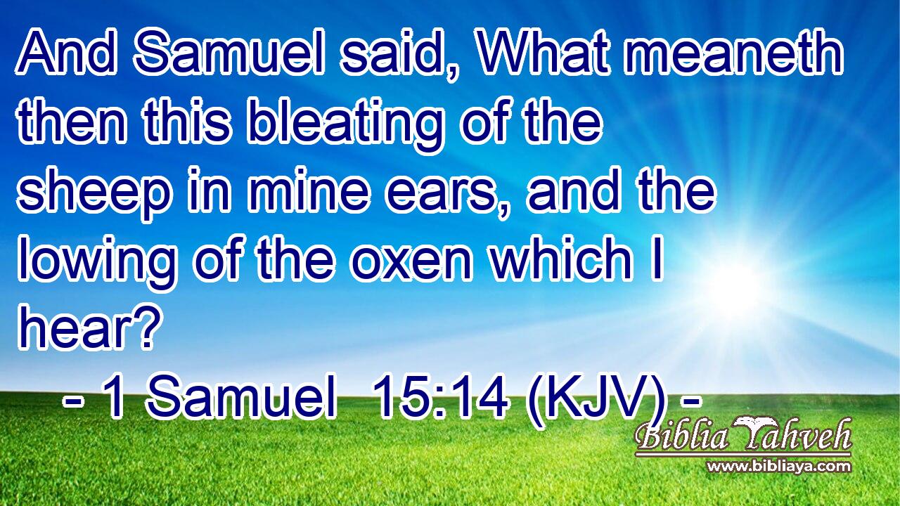 And Samuel said, What meaneth then this bleating of the sheep in mine ears, and the lowing of the oxen which I hear?