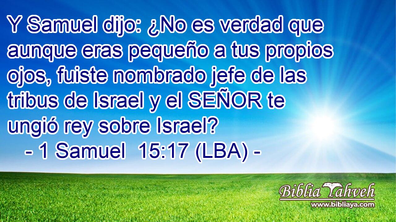 Y Samuel dijo: ¿No es verdad que aunque eras pequeño a tus propios ojos, fuiste nombrado jefe de las tribus de Israel y el SEÑOR te ungió rey sobre Israel?