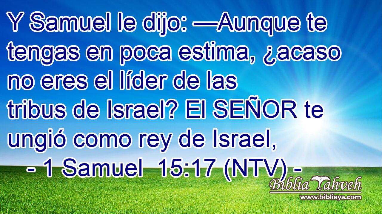 Y Samuel le dijo: —Aunque te tengas en poca estima, ¿acaso no eres el líder de las tribus de Israel? El SEÑOR te ungió como rey de Israel,
