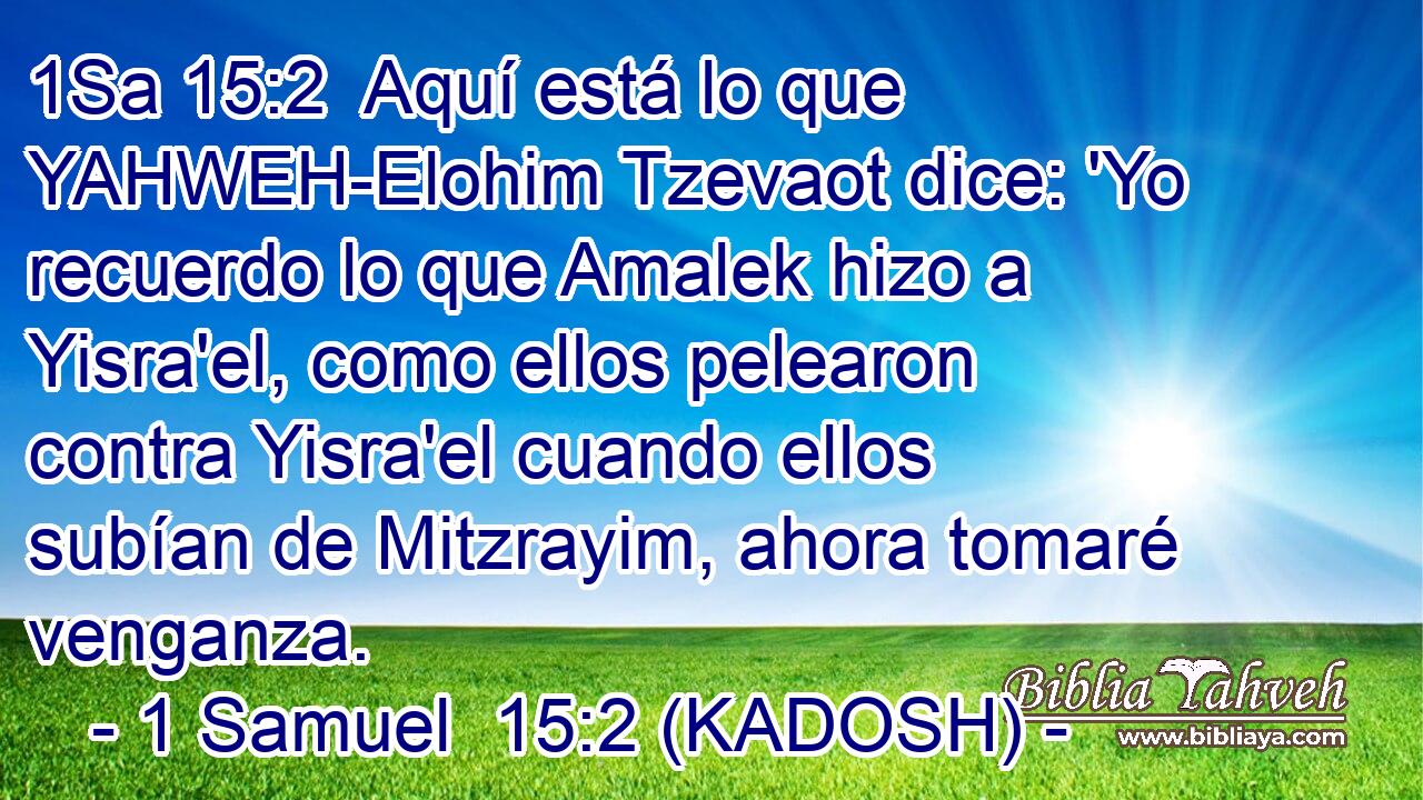  Aquí está lo que YAHWEH-Elohim Tzevaot dice: 'Yo recuerdo lo que Amalek hizo a Yisra'el, como ellos pelearon contra Yisra'el cuando ellos subían de Mitzrayim, ahora tomaré venganza. 
