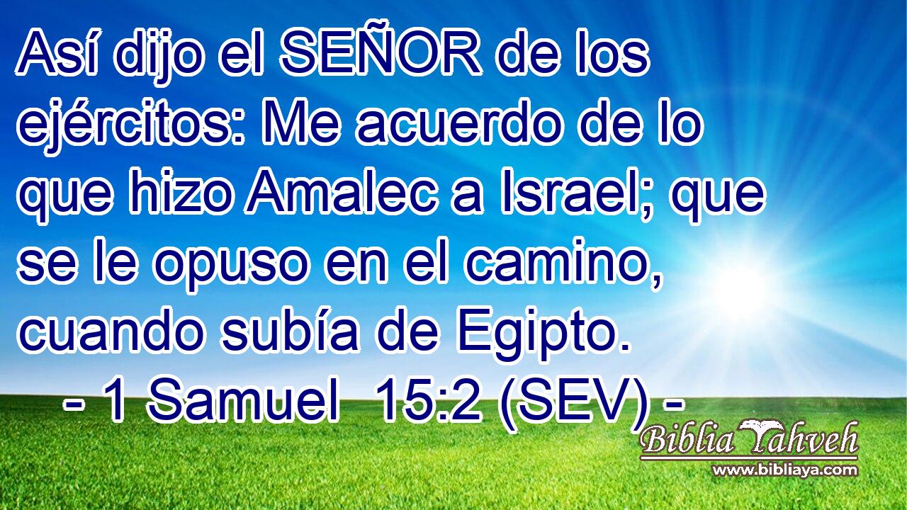 Así dijo el SEÑOR de los ejércitos: Me acuerdo de lo que hizo Amalec a Israel; que se le opuso en el camino, cuando subía de Egipto.