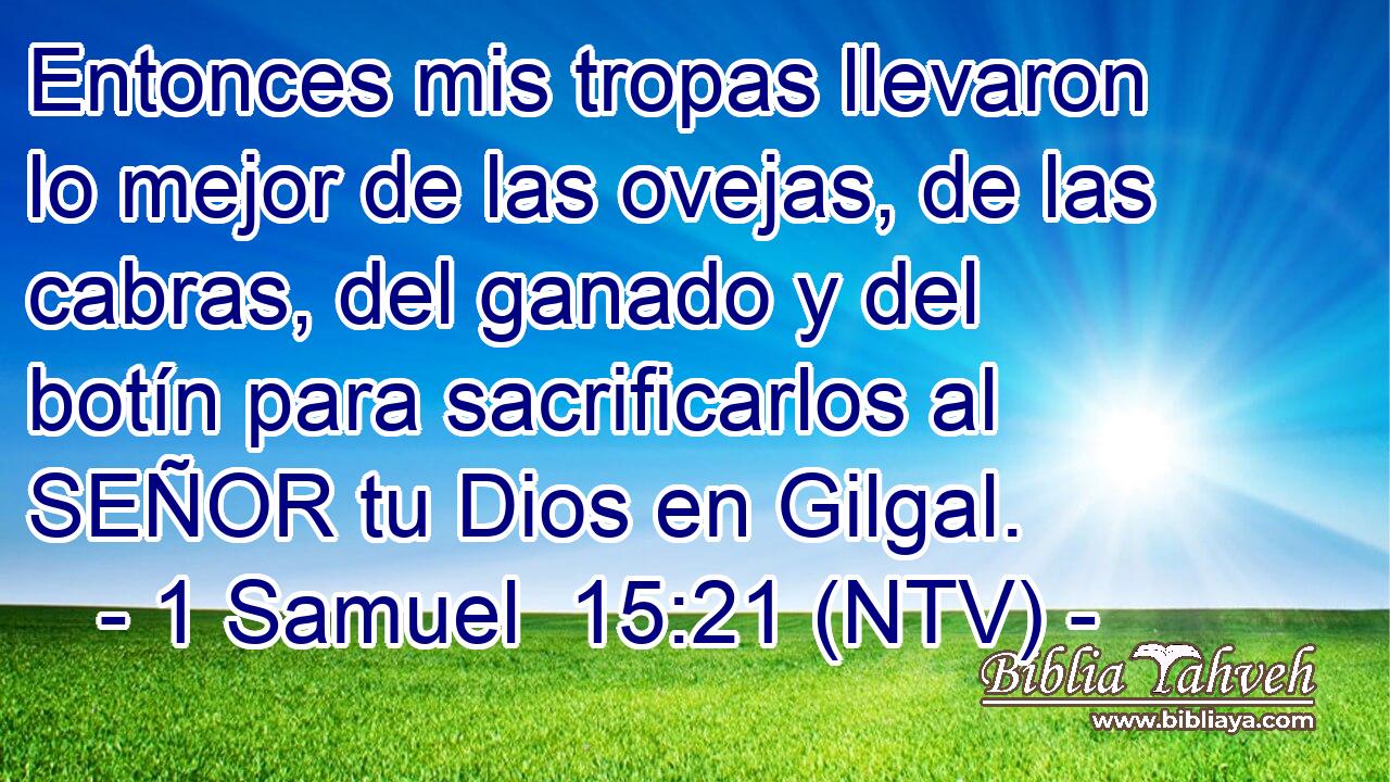 Entonces mis tropas llevaron lo mejor de las ovejas, de las cabras, del ganado y del botín para sacrificarlos al SEÑOR tu Dios en Gilgal.
