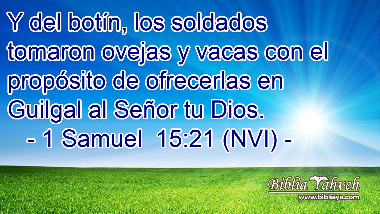  Y del botín, los soldados tomaron ovejas y vacas con el propósito de ofrecerlas en Guilgal al Señor tu Dios. 