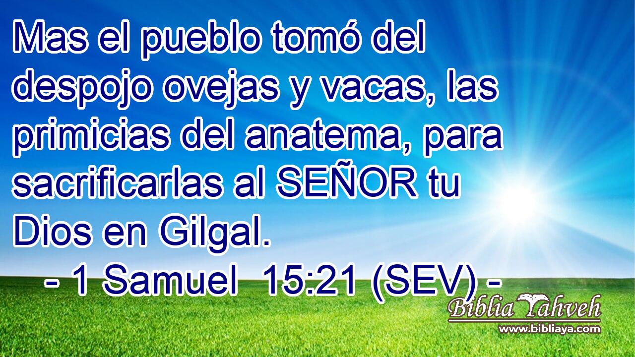 Mas el pueblo tomó del despojo ovejas y vacas, las primicias del anatema, para sacrificarlas al SEÑOR tu Dios en Gilgal.