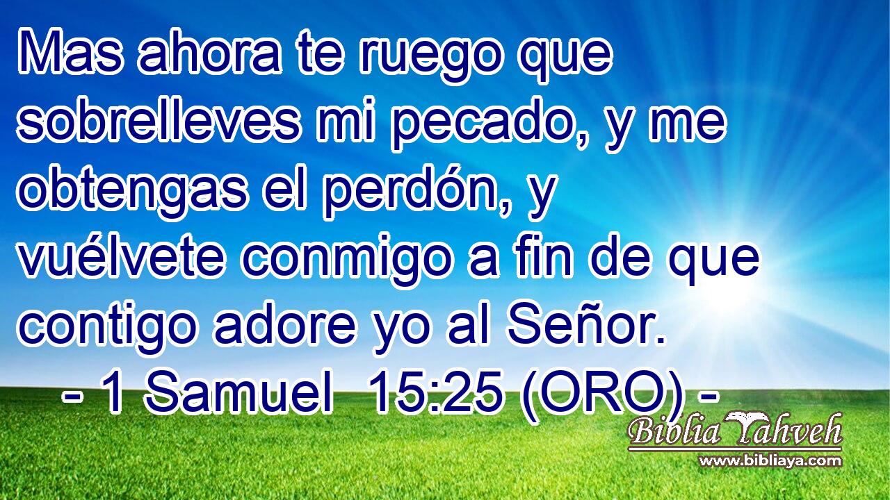  Mas ahora te ruego que sobrelleves mi pecado, y me obtengas el perdón, y vuélvete conmigo a fin de que contigo adore yo al Señor. 