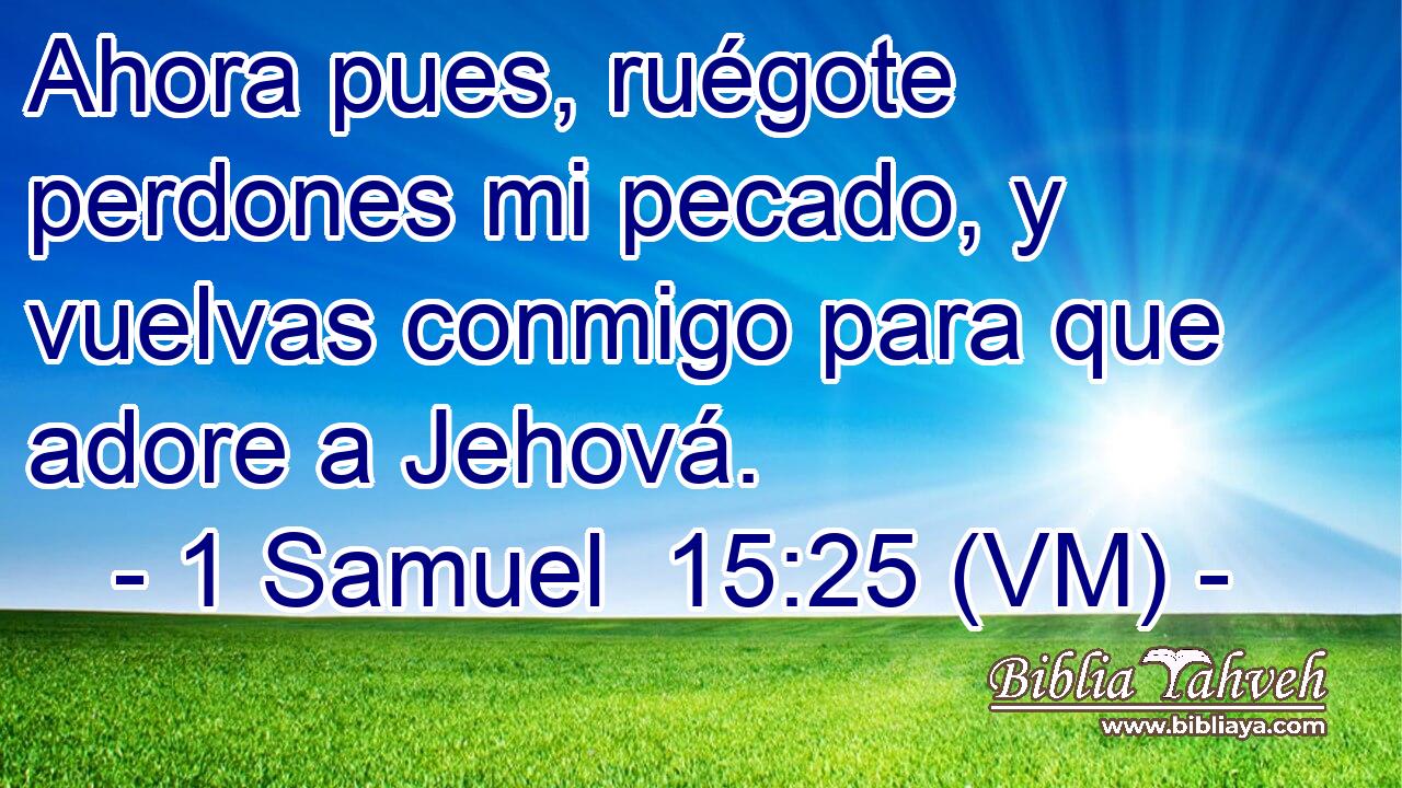  Ahora pues, ruégote perdones mi pecado, y vuelvas conmigo para que adore a Jehová. 