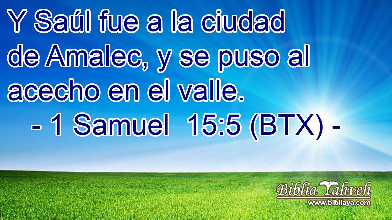 Y Saúl fue a la ciudad de Amalec, y se puso al acecho en el valle.