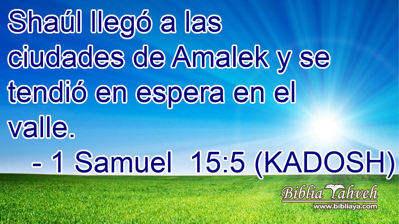  Shaúl llegó a las ciudades de Amalek y se tendió en espera en el valle. 
