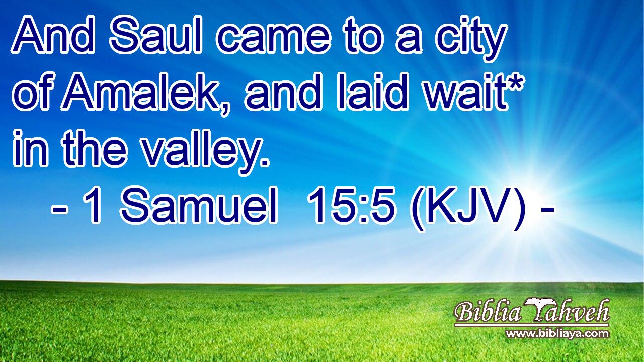 And Saul came to a city of Amalek, and laid wait* in the valley.
