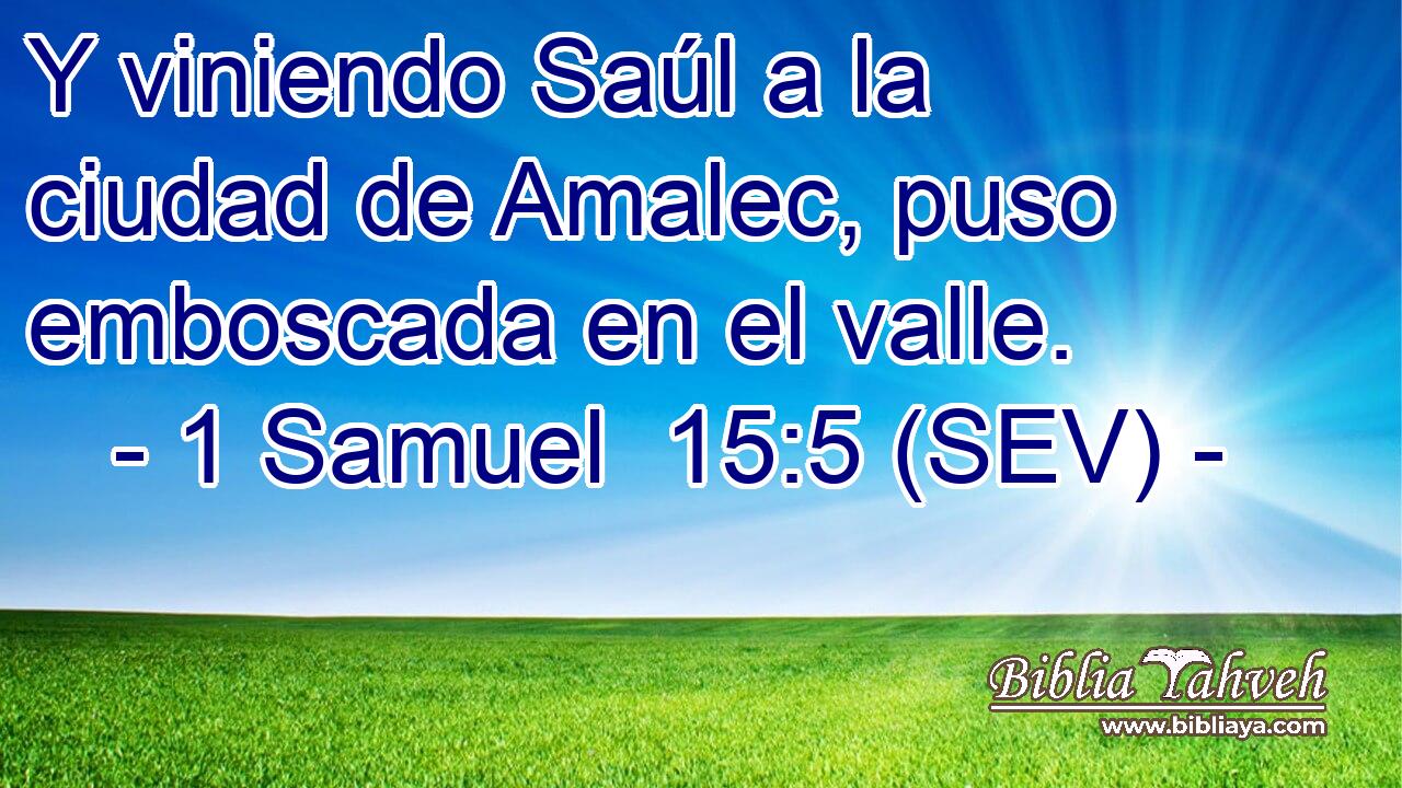 Y viniendo Saúl a la ciudad de Amalec, puso emboscada en el valle.