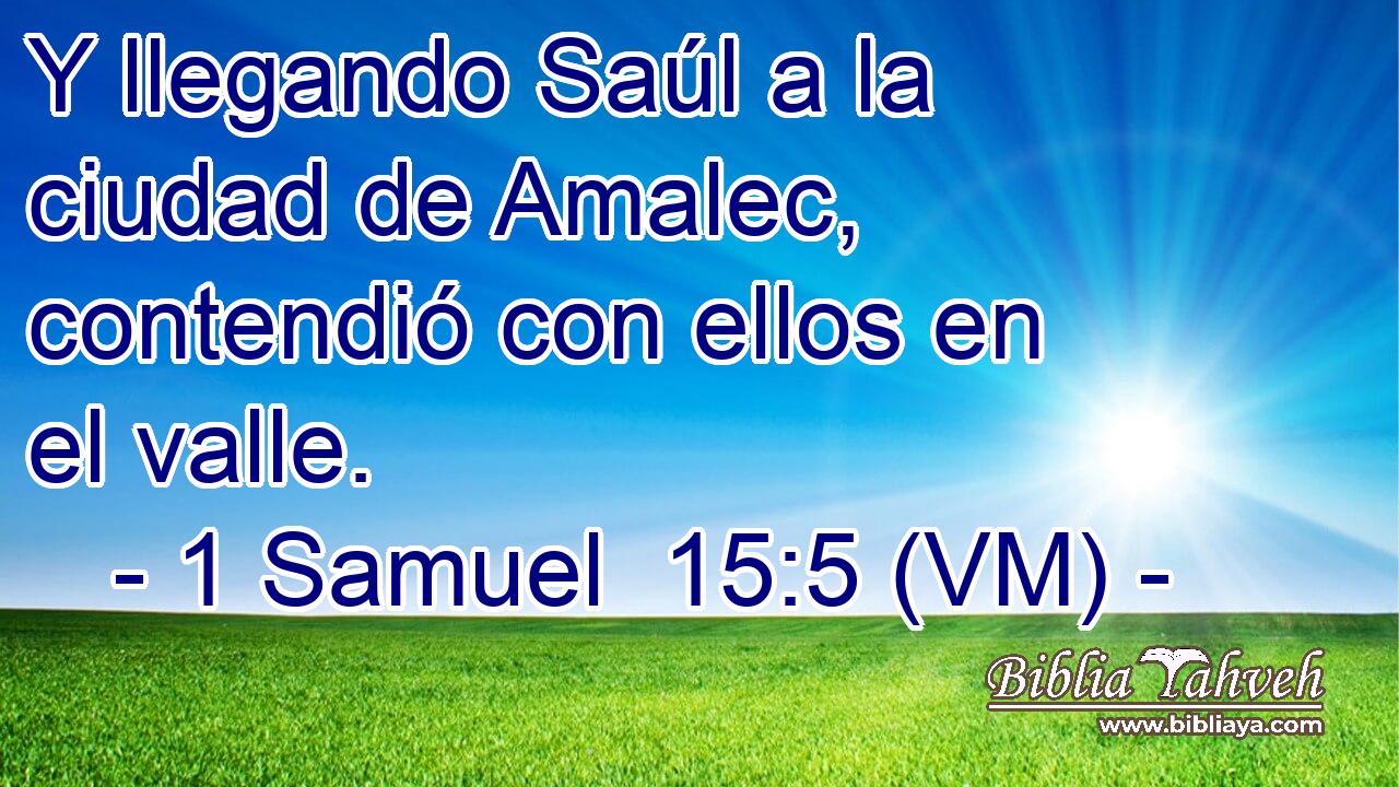  Y llegando Saúl a la ciudad de Amalec, contendió con ellos en el valle. 
