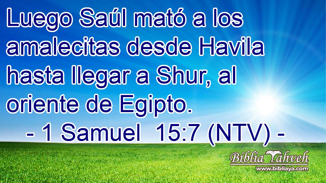 Luego Saúl mató a los amalecitas desde Havila hasta llegar a Shur, al oriente de Egipto.